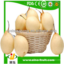 China Fresh fruit Pear best price bulk for sale